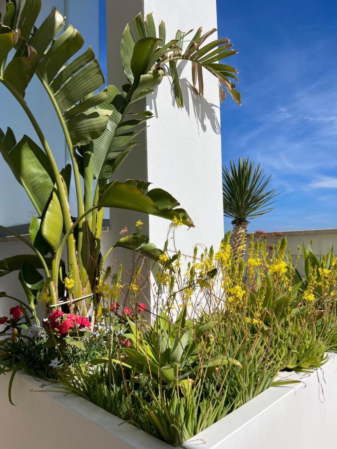 Sky Garden Locazione Turistica Polignano a Mare Exterior foto